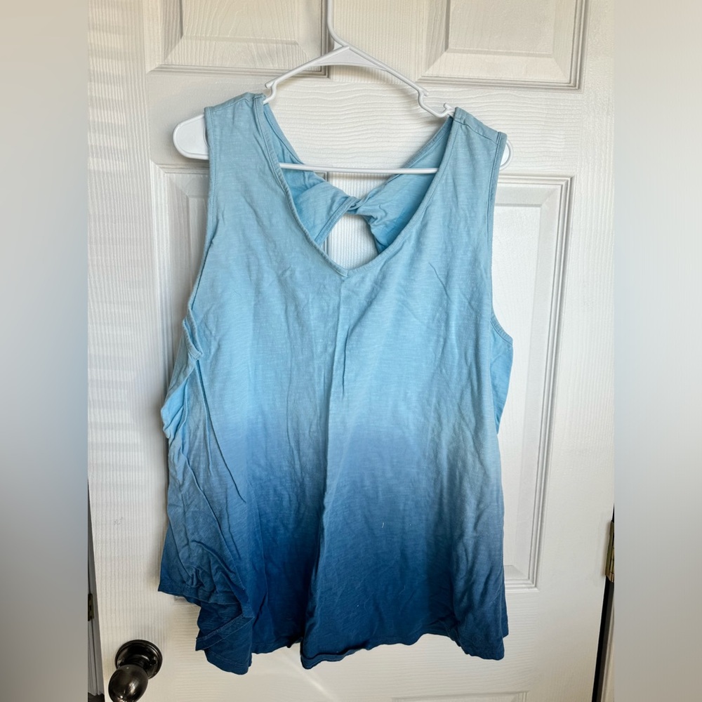 Terra & Sky Women’s Light to Dark Blue Ombre Tank Top